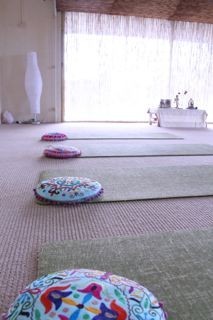 Yoga White Lotus - Sivananda Tradition Pic 3 - Space to breath and stretch