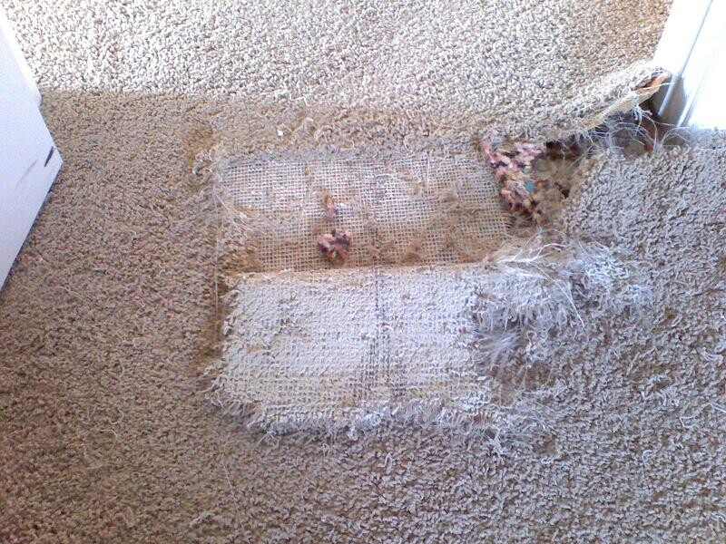 Invisible Carpet Repair Adelaide Pic 1