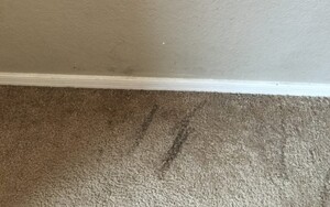 Invisible Carpet Repair Adelaide Pic 5