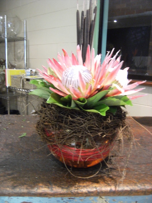 Collins Ave Flowers Pic 1 - Fish Bowl