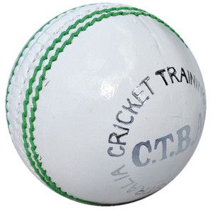 Cricket Training Balls Australia Pic 2 - Cricket ball white 4piece T20 match ball Club training ball