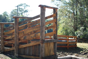 Select-A-Fence Pic 3 - cattle loading ramp