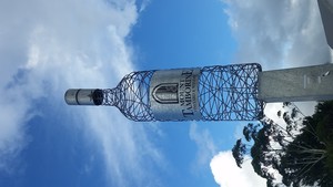 Mount Tamborine Vineyard & Winery Pic 2