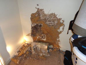 Senior Pest Management Pic 4 - Termite damage found in bedroom wall taken on location by Senior Pest Management