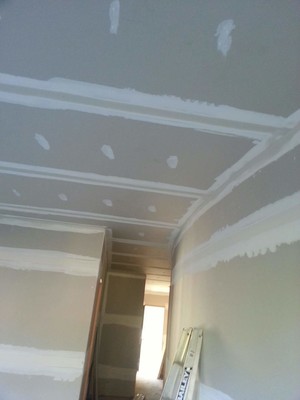 IDM Plastering Pic 2