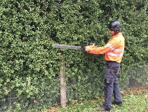 Arbator Tree Services Pic 3 - Hedge Trimming