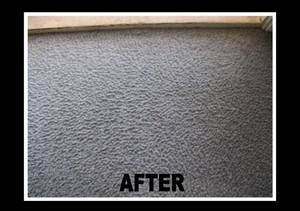 Caprice Carpet Care Pic 3 - Stain After