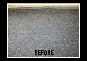 Caprice Carpet Care Pic 2 - Stain Before