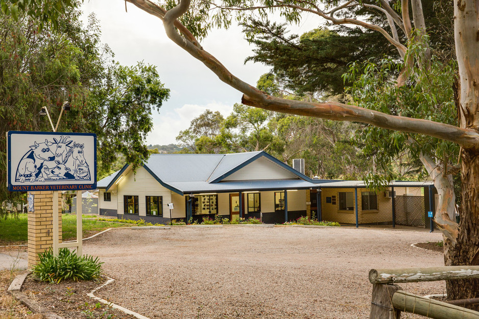 Mount Barker Veterinary Clinic Pic 1 - Modern up to date purpose built Vet Hospital