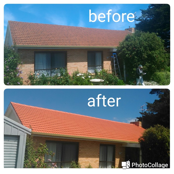 Nardys Roof Restoration and House Painting Pic 1