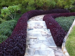 Mark Ronald Landscaping Pic 4 - Colour combinations