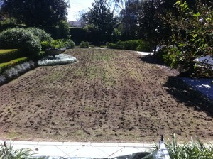 Mark Ronald Landscaping Pic 5 - Lawn renovations before