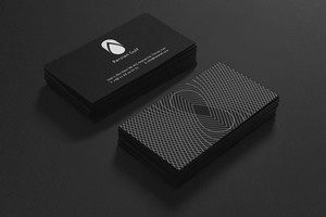 Blitzo Studio Pic 4 - Business Card Design