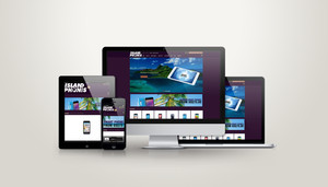 Blitzo Studio Pic 2 - Web Design