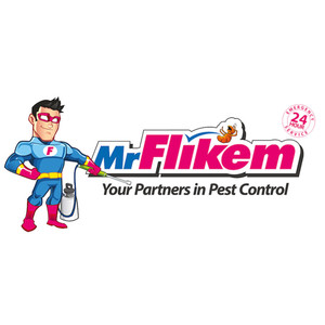 Mr. Flikem Pic 2 - mr flikem