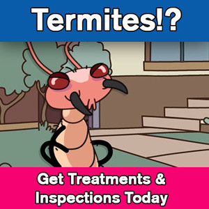 Mr. Flikem Pic 5 - termite treatment sydney