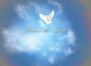 doves away ceremonial dove releases Pic 3 - release the spirit