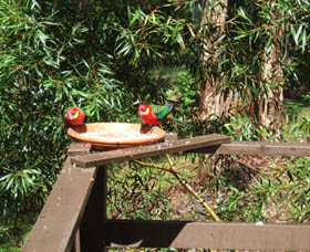 Tree Tops Pic 1 - Tree Tops Denmark Western Australia