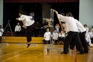 Chans Martial Arts Pic 3 - Jumping backkick Laoshi Suyi at her 2nd degree Black Belt Grading 2015