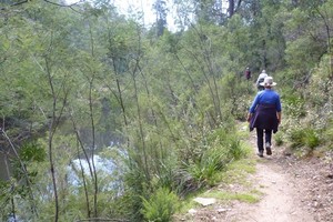 Gippsland High Country Tours Pic 5 - Riverside walking track