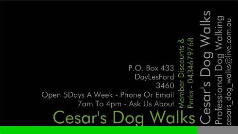 Cesar's Dog Walks Pic 1 - Our Business Cards