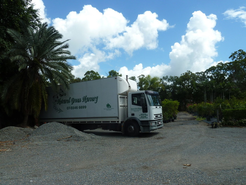 Natural Green Nursery In Pimpama Qld Nurseries Gardening Natural Green Nursery