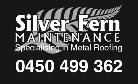 Silver Fern Maintenance & Roofing Pic 1