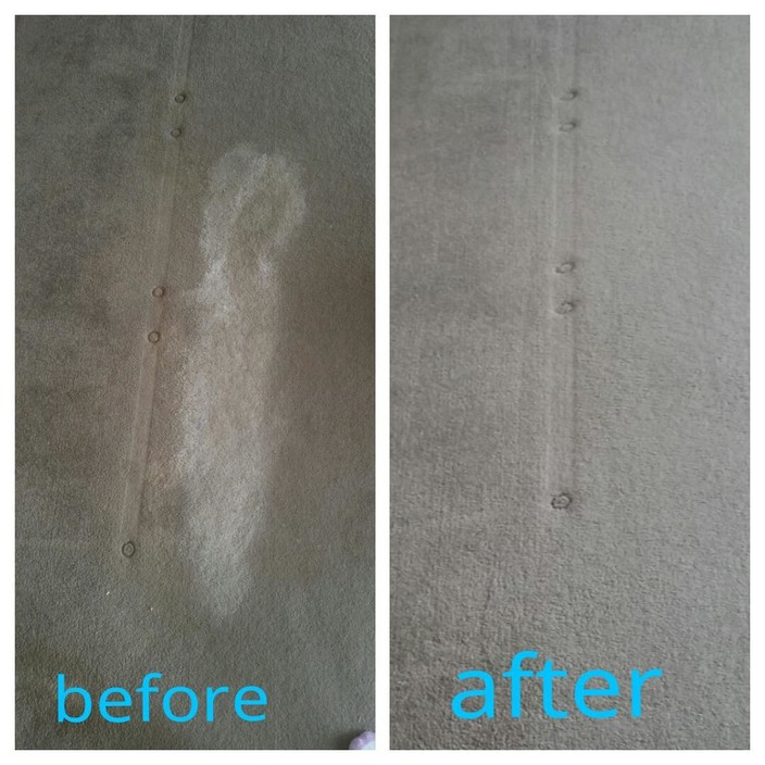 Daryl Spalding Carpet Cleaning Pic 1