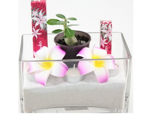 Choc Pops Love Rocks Hampers With Style Pic 4 - Desert Rose Gift Hamper Pink Jasmine