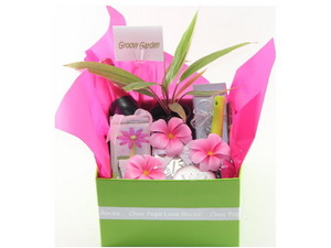 Choc Pops Love Rocks Hampers With Style Pic 2 - Groovy Garden Gift Hamper