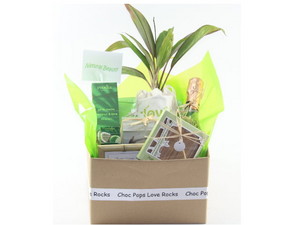 Choc Pops Love Rocks Hampers With Style Pic 3 - Natural Beauty Gift Hamper