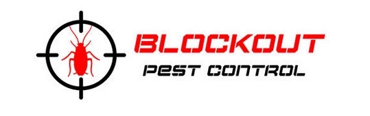 Blockout Pest Control Pic 1