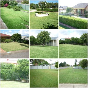 Brett's Mowing and Gardening Pic 4 - Samples of lawn mowing