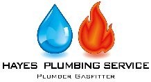 Hayes Plumbing Service Pic 1