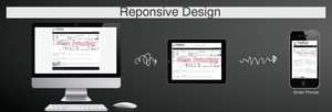 web customize Pic 3 - Reponsive Design