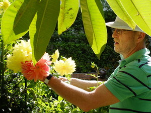 Hooper Tooth Conserving Dentistry Pic 4 - Meet Dr Gerard Hooper enjoying his morning in his garden