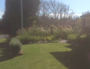 Leaf and Stone Landscapes Pty Ltd Pic 2 - Contemporary Native Gardens