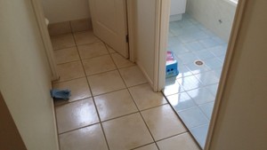 Nice n Clean Pic 2 - Before colour sealing the grout sucked in the dirty mop water and always look dirty