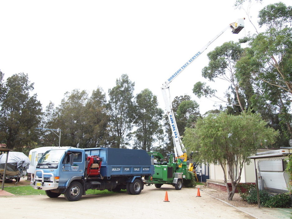 Horizon Total Tree Service Pic 1