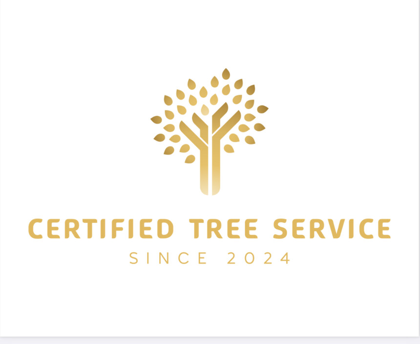 Certified Tree Service Pty Ltd Pic 1