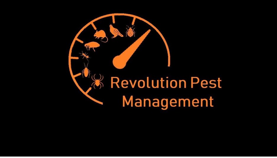 Revolution Pest Management Pic 1