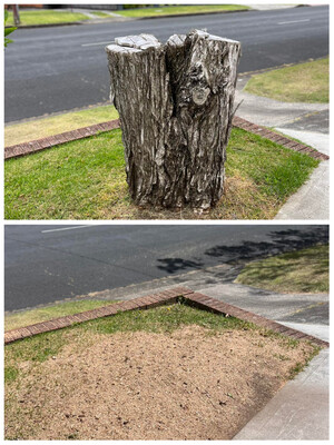 Southside Stump Grinding Pic 3 - stump removal