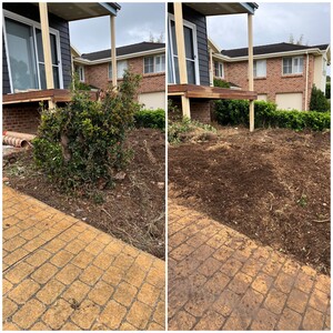 Southside Stump Grinding Pic 5 - tree stump removed before and after