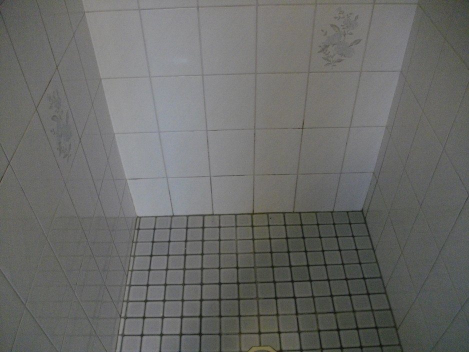 the grout doctor Pic 1 - before