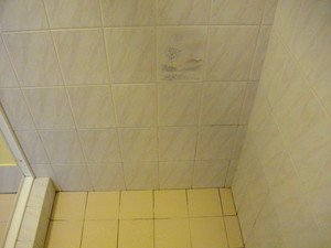 the grout doctor Pic 3 - before