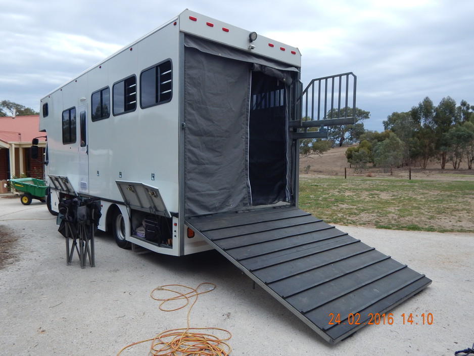 Wildlife Canvas Pic 1 - we have and love horses and know what is needed If your requiring canvas talk to Roy