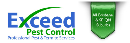 Exceed Pest Control Pic 1