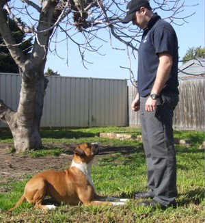 Kadan K9 Training Pic 4