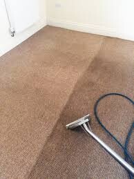 Carpet Cleaning Dee Why Pic 3