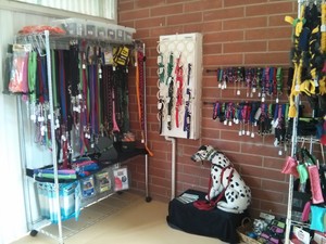 Dogs etc Pic 4 - Collars leads and harnesses for sale